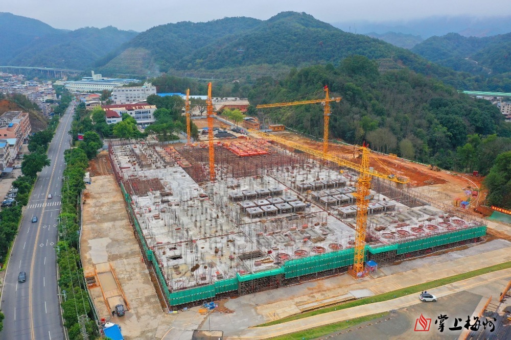 “新春走基层·企业行”全媒体采风团走进万象城在线科技